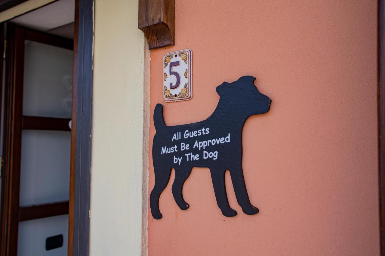Casa Vacanze Monte Galetto 布索伦戈 外观 照片