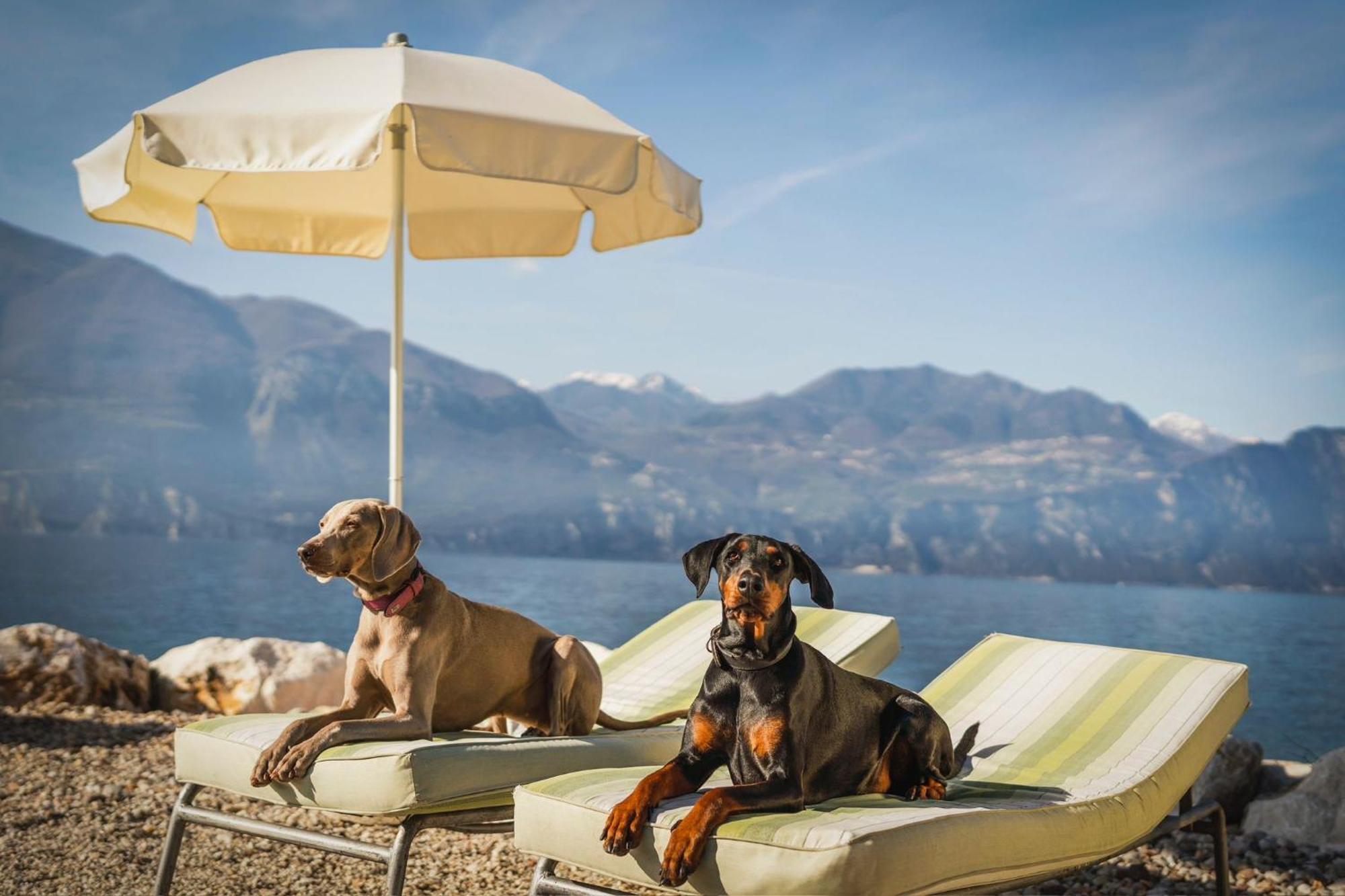 Casa Vacanze Monte Galetto 布索伦戈 外观 照片